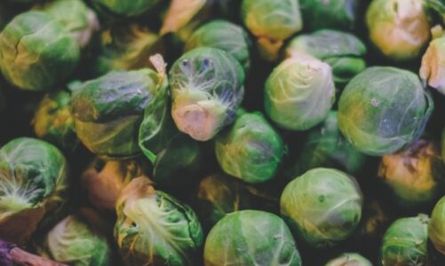 Waarom leren zoveel mensen pas spruitjes eten als ze volwassen zijn?